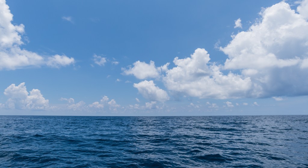 The Power of Blue Ocean Strategy for Business&nbsp;Leaders